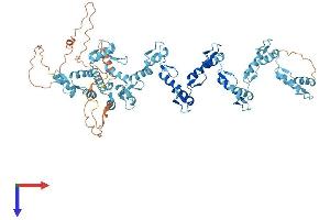 AlphaFold protein structure predicition of Human Recombinant ZNF470 Protein, UniprotID Q6ECI4