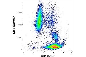 Flow cytometry surface staining pattern of human peripheral whole blood stained using anti-human CD102 (CBR-IC2/2) PE antibody (10 μL reagent / 100 μL of peripheral whole blood). (ICAM2 anticorps  (PE))