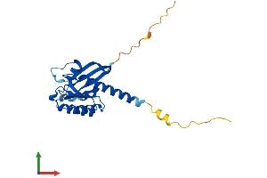AlphaFold protein structure predicition of Human Recombinant RIT1 Protein, UniprotID Q92963