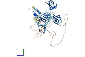 AlphaFold protein structure predicition of Mouse Recombinant Pabpc1 Protein, UniprotID P29341