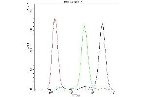 Flow Cytometry analysis of U251 cells using anti-ADO antibody (ABIN4886431). (ADO anticorps  (AA 49-261))