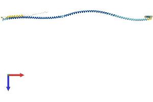 AlphaFold protein structure predicition of Mouse Recombinant Ccdc89 Protein, UniprotID Q9DA73
