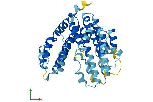 AlphaFold protein structure predicition of Human Recombinant ATP6V0D2 Protein, UniprotID Q8N8Y2