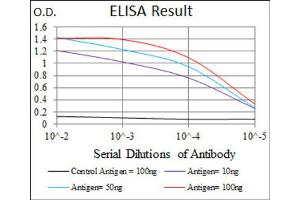 Red: Control Antigen (100ng) ; Purple: Antigen (10ng) ; Green: Antigen (50ng) ; Blue: Antigen (100ng). (CD166 anticorps  (AA 48-216))