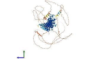 AlphaFold protein structure predicition of Human Recombinant NFKBIZ Protein, UniprotID Q9BYH8