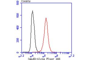 Flow cytometric analysis of Hela cells with Smad3 (3D1) Monoclonal Antibody  at 1/50 dilution (red) compared with an unlabelled control (cells without incubation with primary antibody, black).