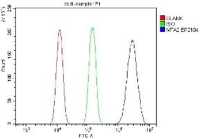 Flow Cytometry analysis of A431 cells using anti-MTA2 antibody (ABIN7599519). (MTA2 anticorps  (AA 1-668))