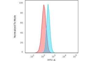 Flow Cytometric Analysis of HeLa cells using Spectrin beta III Monoclonal Antibody (SPTBN2/1584) followed by Goat anti-Mouse IgG-CF488 (Blue); Isotype Control (Red).