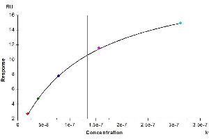 Biotinylated Human Nectin-3, His Tag immobilized on CM5 Chip can bind Human Nectin-1, His Tag with an affinity constant of 0.