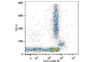 Surface staining of lysed and wash human peripheral blood with purified anti-human CD31 (MEM-05) (detection by Goat anti-mouse IgG1 PE). (CD31 anticorps  (APC))