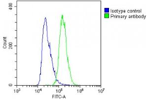 Overlay histogram showing A431 cells stained with C(green line).