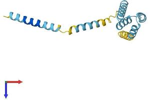 AlphaFold protein structure predicition of Mouse Recombinant Tomm20 Protein, UniprotID Q9DCC8