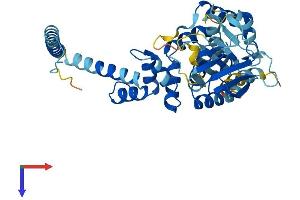 AlphaFold protein structure predicition of Human Recombinant CYTH1 Protein, UniprotID Q15438
