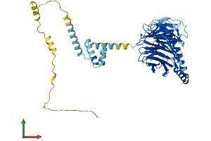 AlphaFold protein structure predicition of Mouse Recombinant Prpf4 Protein, UniprotID Q9DAW6