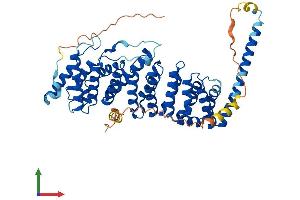 AlphaFold protein structure predicition of Human Recombinant PPP2R5C Protein, UniprotID Q13362
