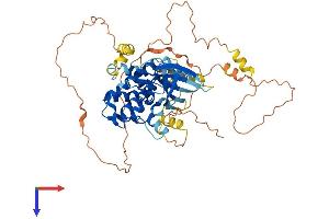 AlphaFold protein structure predicition of Mouse Recombinant Nek3 Protein, UniprotID Q9R0A5