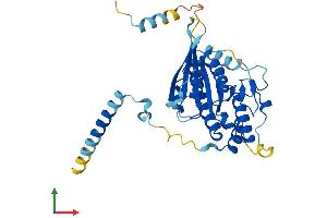 AlphaFold protein structure predicition of Human Recombinant DYNC2LI1 Protein, UniprotID Q8TCX1