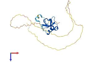 AlphaFold protein structure predicition of Human Recombinant HDGF Protein, UniprotID P51858