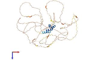 AlphaFold protein structure predicition of Human Recombinant RSC1A1 Protein, UniprotID Q92681