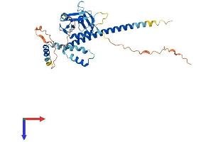 AlphaFold protein structure predicition of Human Recombinant PHF11 Protein, UniprotID Q9UIL8