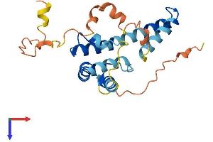 AlphaFold protein structure predicition of Human Recombinant MREG Protein, UniprotID Q8N565