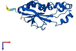 AlphaFold protein structure predicition of Mouse Recombinant Desi1 Protein, UniprotID Q9CQT7