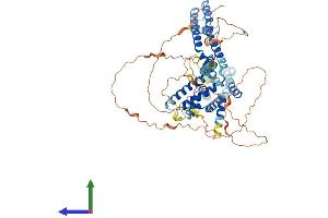AlphaFold protein structure predicition of Human Recombinant KCNQ1 Protein, UniprotID P51787