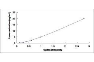 Typical standard curve (GP2 Kit ELISA)
