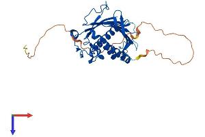 AlphaFold protein structure predicition of Mouse Recombinant Pitpnc1 Protein, UniprotID Q8K4R4