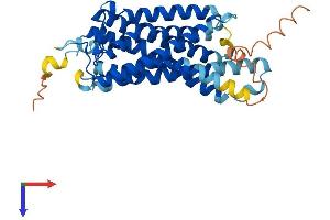 AlphaFold protein structure predicition of Human Recombinant OPN5 Protein, UniprotID Q6U736