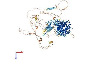 AlphaFold protein structure predicition of Human Recombinant STARD13 Protein, UniprotID Q9Y3M8