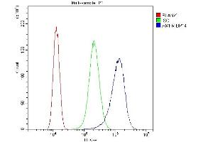 Flow Cytometry analysis of SiHa cells using anti-AMFR antibody (ABIN4886455). (AMFR anticorps  (AA 553-643))