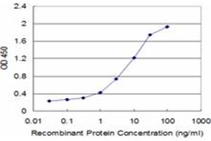Detection limit for recombinant GST tagged FAS is approximately 0. (FAS anticorps  (AA 20-119))