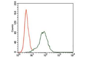 Flow Cytometry (FACS) image for anti-Insulin-Like Growth Factor 2 (IGF2) (AA 25-180) antibody (ABIN1846026) (IGF2 anticorps  (AA 25-180))