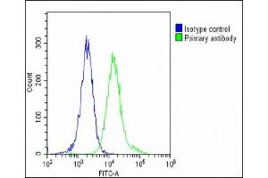 Overlay histogram showing Hela cells stained with (ABIN6242502 and ABIN6578624)(green line). (NUP93 anticorps  (AA 20-54))