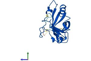 AlphaFold protein structure predicition of Human Recombinant GGACT Protein, UniprotID Q9BVM4