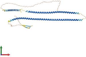 AlphaFold protein structure predicition of Human Recombinant KRT27 Protein, UniprotID Q7Z3Y8