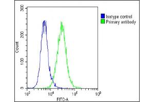 Overlay histogram showing A549 cells stained with (green line).