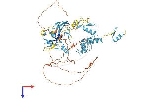 AlphaFold protein structure predicition of Human Recombinant PRDM14 Protein, UniprotID Q9GZV8