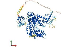 AlphaFold protein structure predicition of Human Recombinant THAP12 Protein, UniprotID O43422