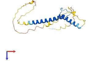 AlphaFold protein structure predicition of Mouse Recombinant Tcf21 Protein, UniprotID O35437