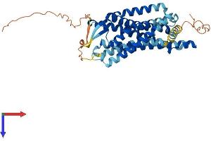 AlphaFold protein structure predicition of Human Recombinant PROKR1 Protein, UniprotID Q8TCW9