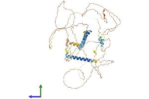 AlphaFold protein structure predicition of Human Recombinant C19orf44 Protein, UniprotID Q9H6X5