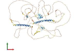 AlphaFold protein structure predicition of Mouse Recombinant Dact2 Protein, UniprotID Q7TN08