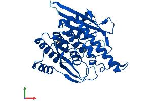 AlphaFold protein structure predicition of Human Recombinant PDXK Protein, UniprotID O00764
