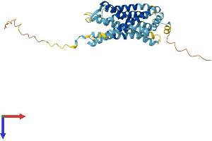 AlphaFold protein structure predicition of Mouse Recombinant Cxcr2 Protein, UniprotID P35343
