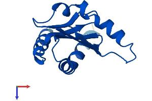 AlphaFold protein structure predicition of Mouse Recombinant Lamtor3 Protein, UniprotID O88653