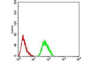 Flow cytometric analysis of Hela cells using CFHR5 mouse mAb (green) and negative control (red).