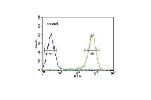 DLAT Antibody (C-term) (ABIN651534 and ABIN2840283) flow cytometric analysis of HepG2 cells (right histogram) compared to a negative control cell (left histogram). (DLAT anticorps  (C-Term))