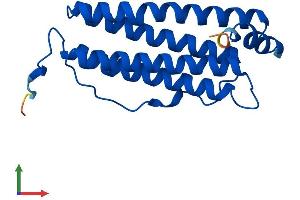 AlphaFold protein structure predicition of Mouse Recombinant Fth1 Protein, UniprotID P09528